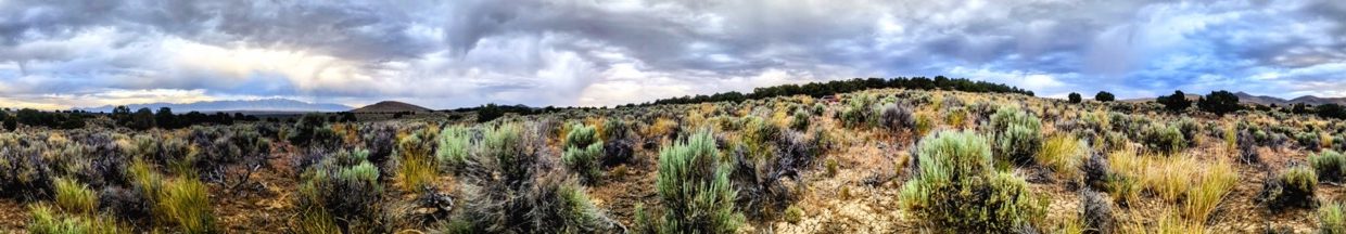 Pano1NV-Elko-2.27ac-014-023-012-S-Syrett Large