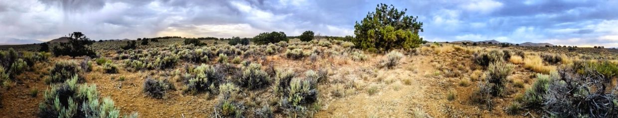 Pano2NV-Elko-2.27ac-014-023-012-S-Syrett Large