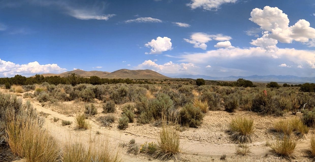Pano4NV-Elko-2.27ac-014-022-003-S-Syrett Large