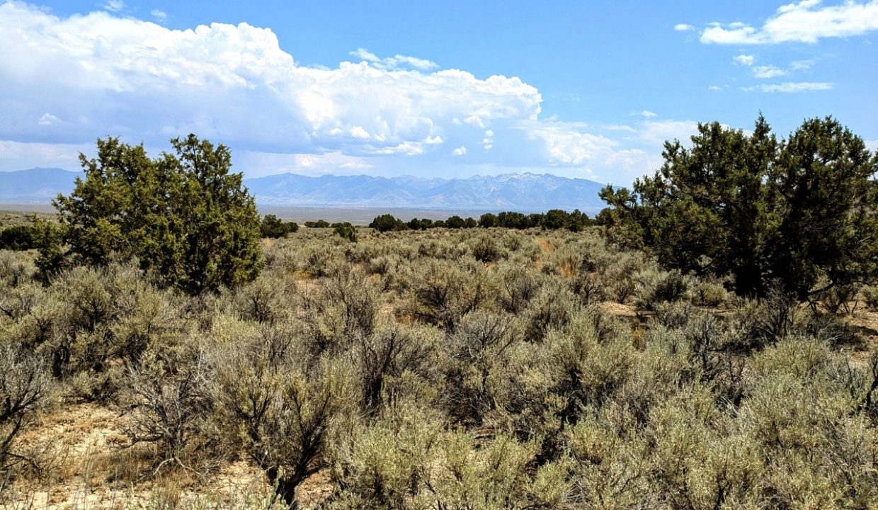 Photo15NV-Elko-2.27ac-014-022-003-S-Syrett Large