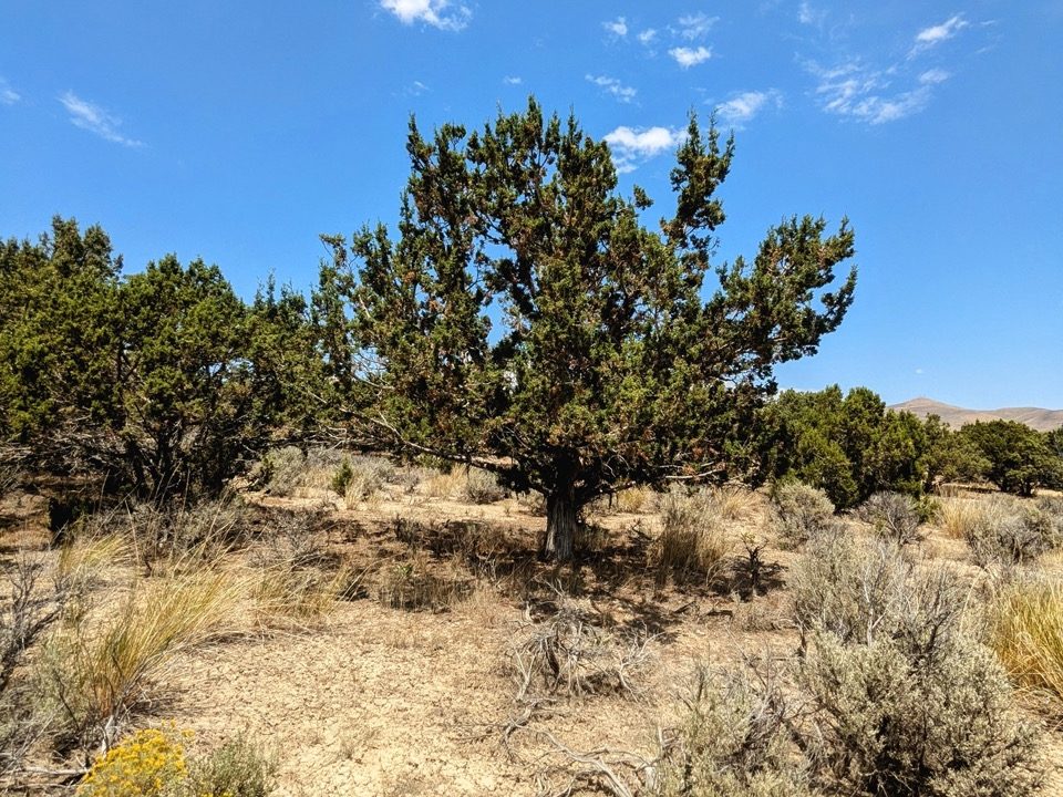Photo32NV-Elko-2.27ac-014-022-003-S-Syrett Large