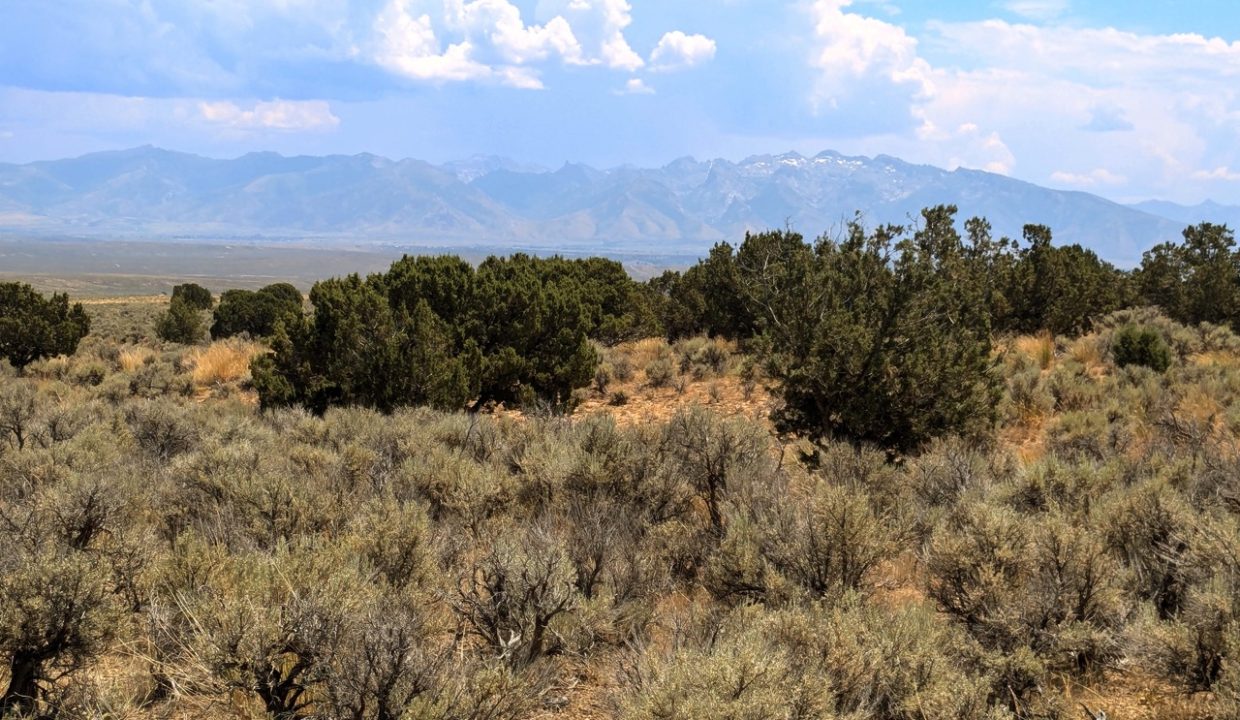 Photo48NV-Elko-2.27ac-014-022-003-S-Syrett Large
