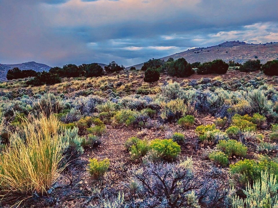 Photo5-NV-Elko-1.14ac-013-042-011-S-Syrett Large