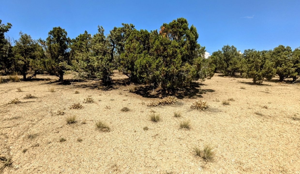Photo56NV-Elko-2.27ac-014-022-003-S-Syrett Large