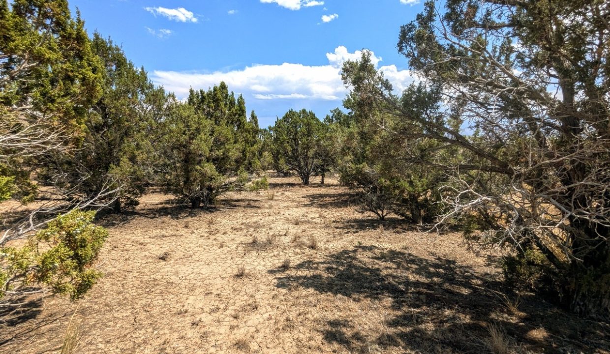 Photo59NV-Elko-2.27ac-014-022-003-S-Syrett Large