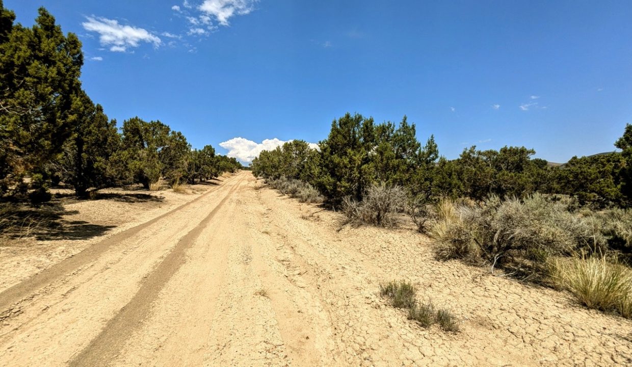 Photo5NV-Elko-2.27ac-014-022-003-S-Syrett Large