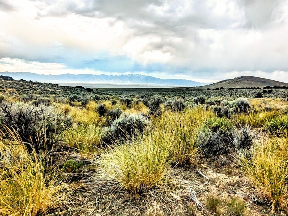 Photo5NV-Elko-2.27ac-014-023-012-S-Syrett Large
