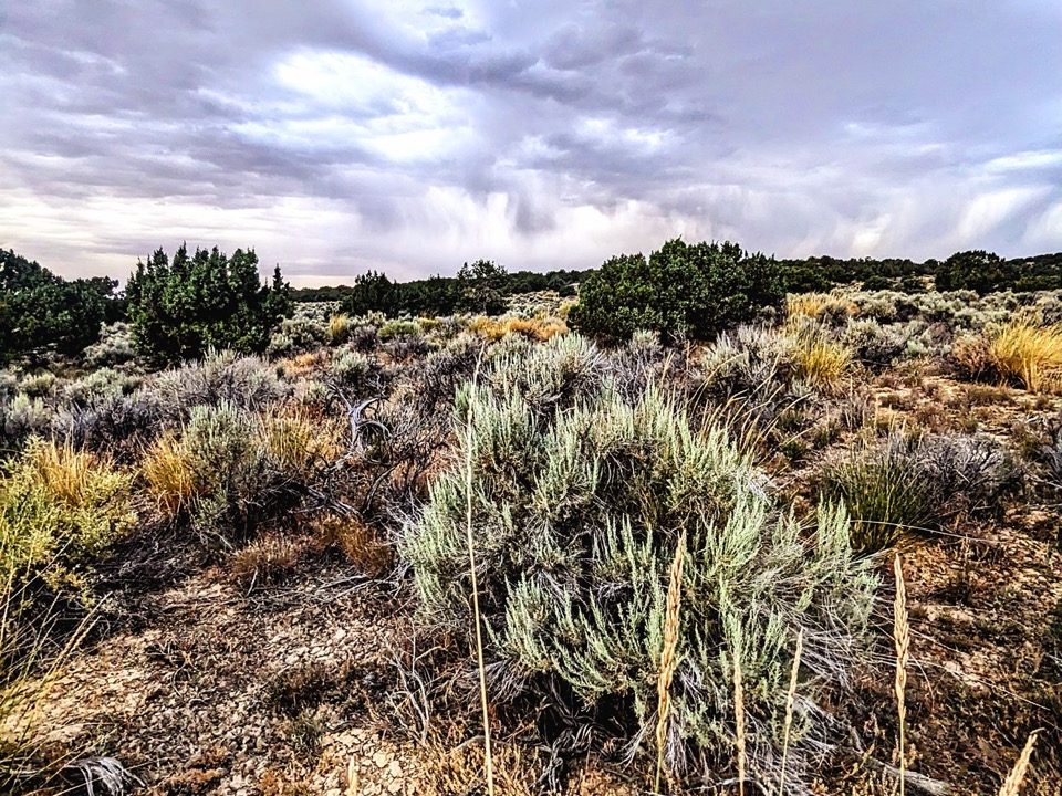Photo6NV-Elko-2.27ac-014-023-012-S-Syrett Large