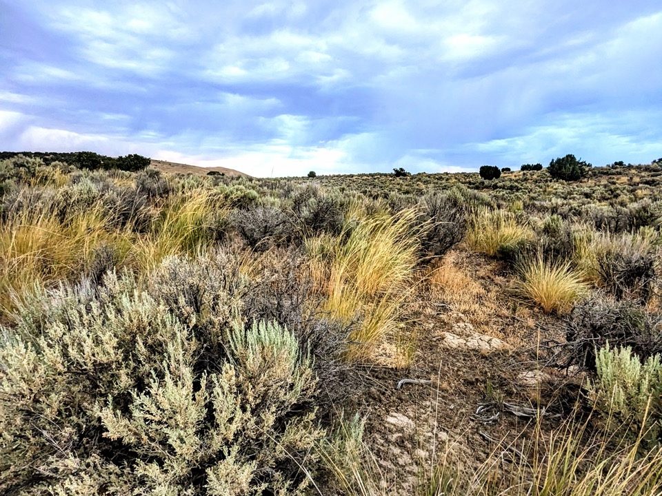 Photo7NV-Elko-2.27ac-014-023-012-S-Syrett Large