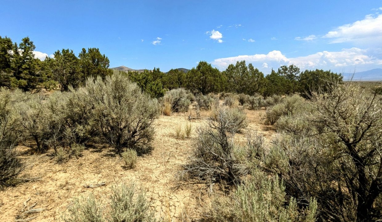 Photo9NV-Elko-2.27ac-014-022-003-S-Syrett Large