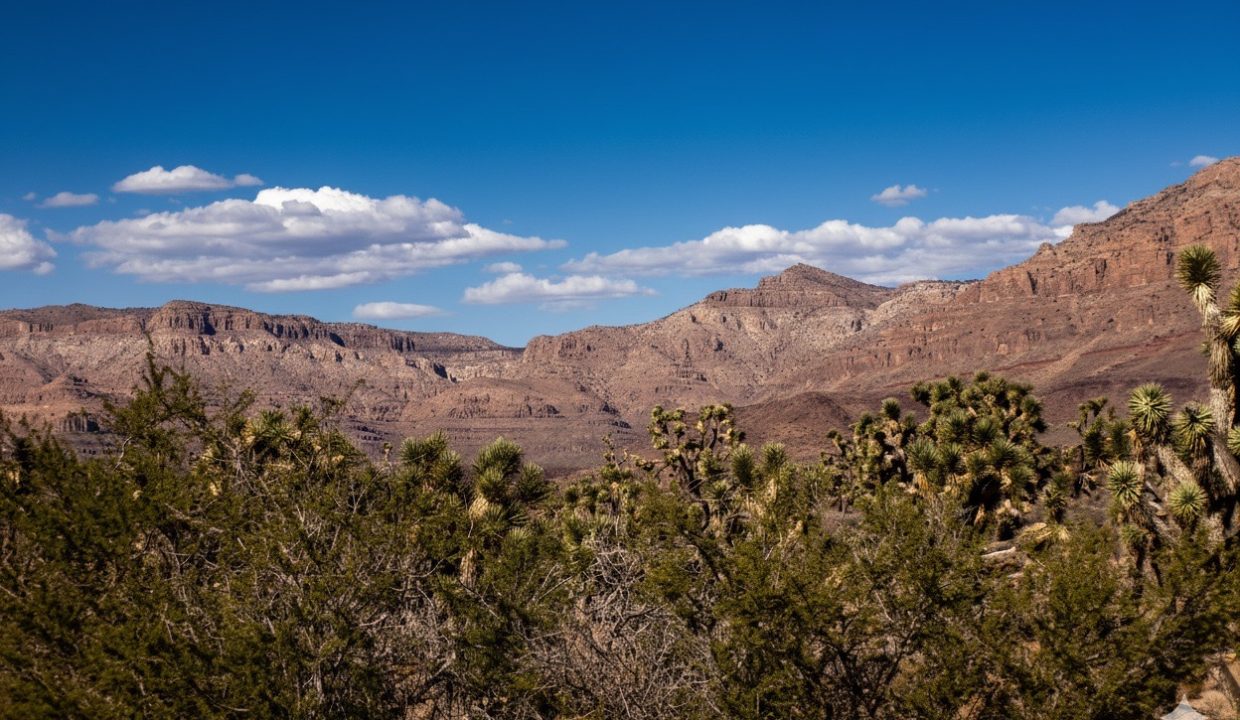 GroundPhoto26-AZ-Mohave-1.03ac-336-07-488-J-Bloss Large
